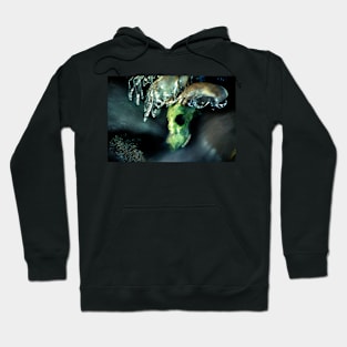 Moorland Gothic Hoodie